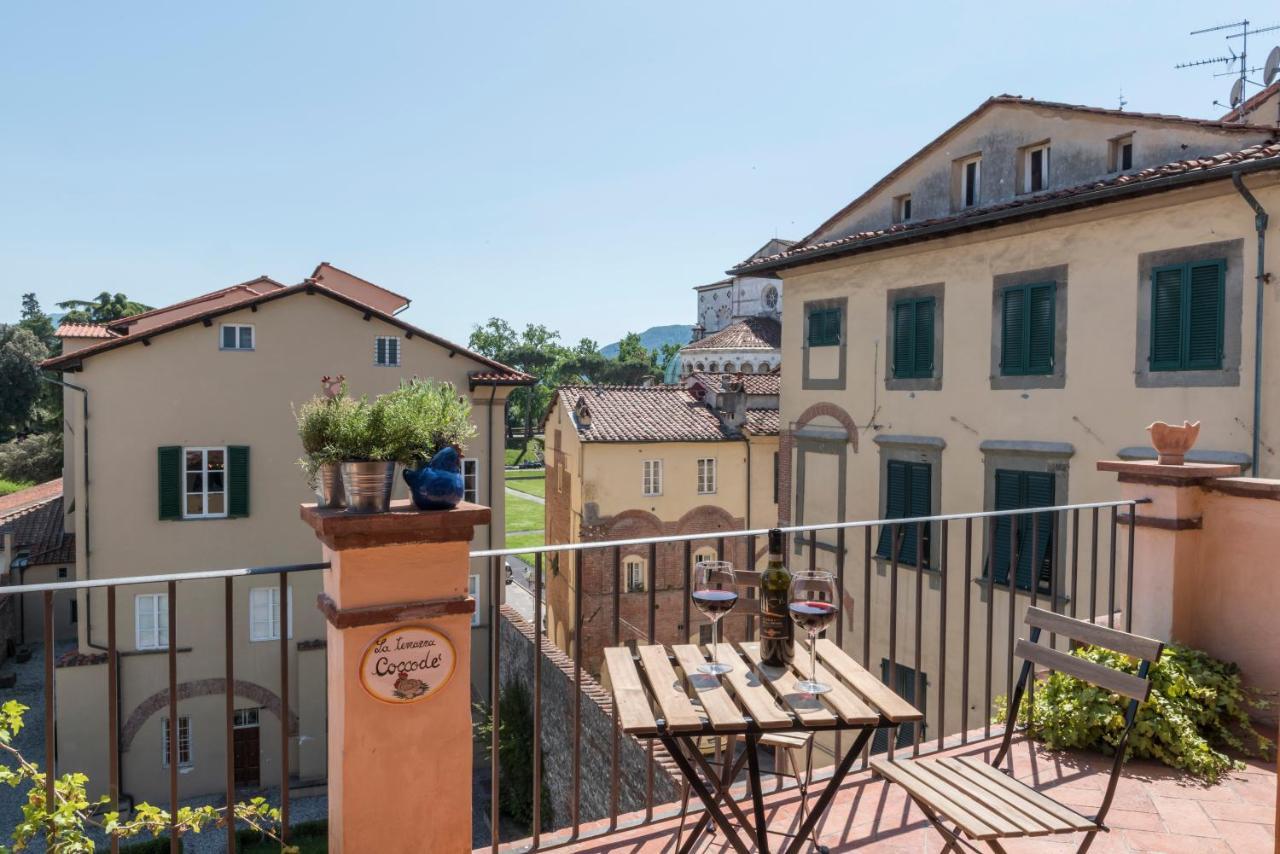 Terrazza Coccode' Spazioso Con Vista Mozzafiato! Lukka Zewnętrze zdjęcie