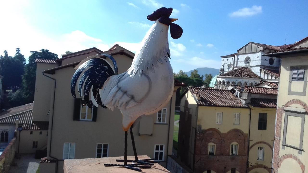 Terrazza Coccode' Spazioso Con Vista Mozzafiato! Lukka Zewnętrze zdjęcie