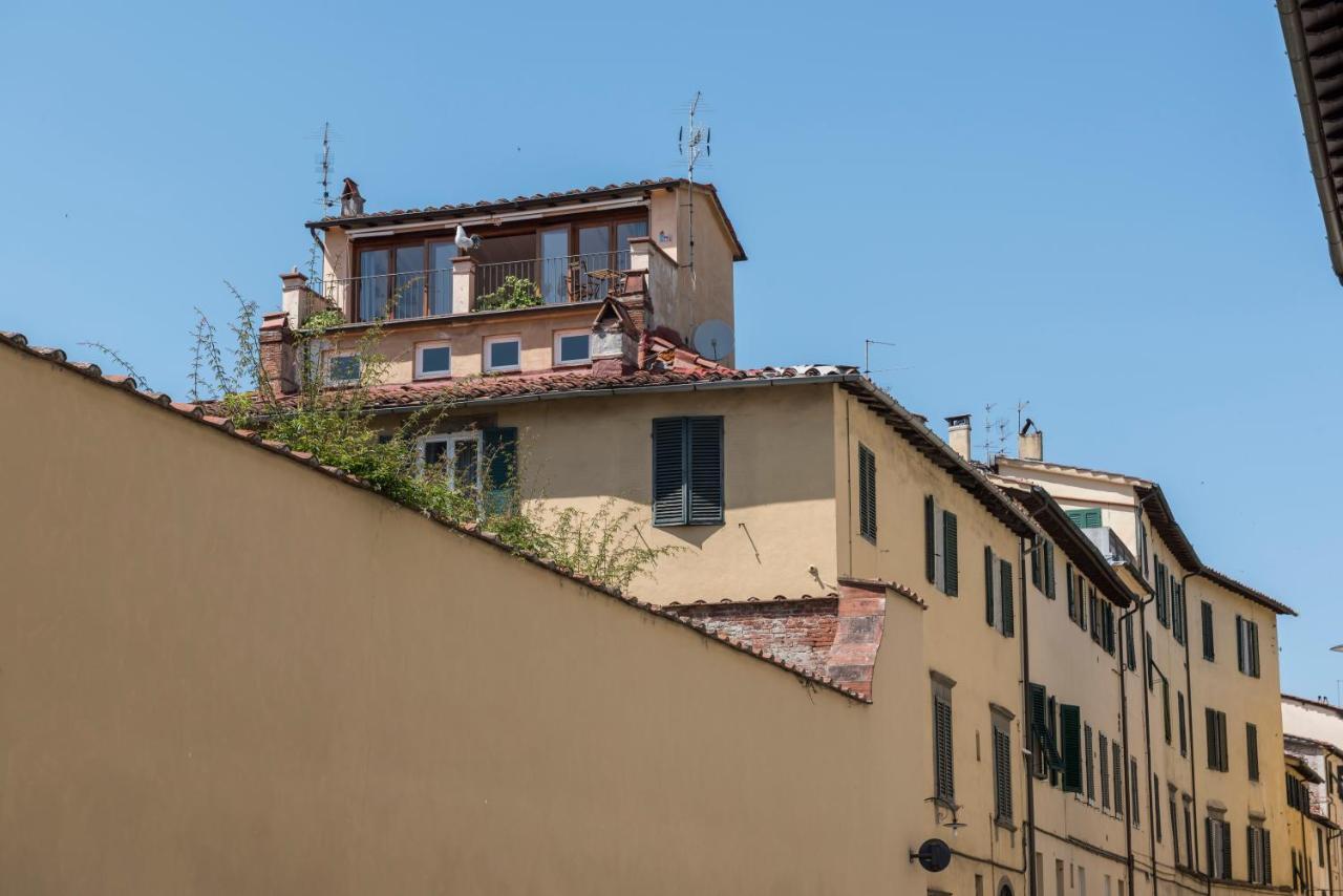 Terrazza Coccode' Spazioso Con Vista Mozzafiato! Lukka Zewnętrze zdjęcie