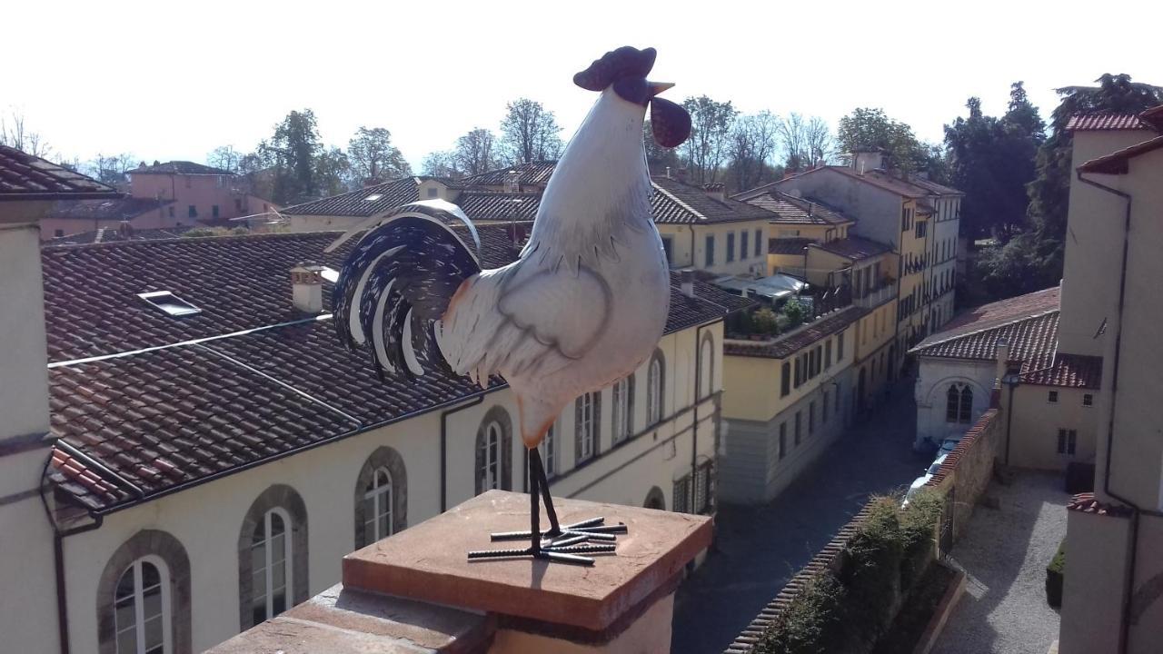 Terrazza Coccode' Spazioso Con Vista Mozzafiato! Lukka Zewnętrze zdjęcie